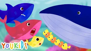 Baby Shark Song | Featuring Whale  & Little Fishes