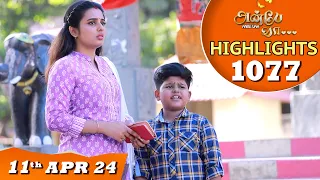 Anbe Vaa Serial | EP 1077 Highlights |11th April 24 | Virat | Shree Gopika | Saregama TV Shows Tamil