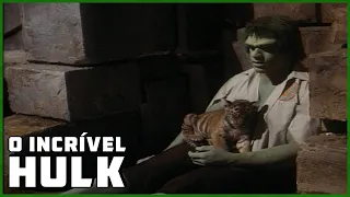 Hulk no zoológico | O Incrível Hulk