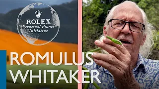 Respecting reptiles and rainforests with Romulus Whitaker
