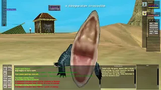 Charming Crocs in Oasis | EverQuest Project 1999 Green Server