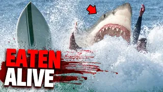 This Surfer Was Eaten Alive While Getting Rescued by Friends! (Animals Gone WRONG)