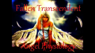 Fallen Transcendent Angel Physiology, Malevolent Angel, Primordial Angel, Absolute Condition