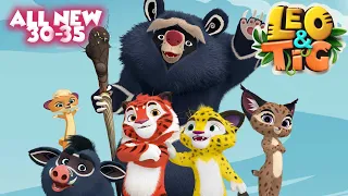 LEO and TIG 🦁 🐯 All new episodes in a row 30-35  🌈 Episodes collection 💚 Moolt Kids Toons Happy Bear