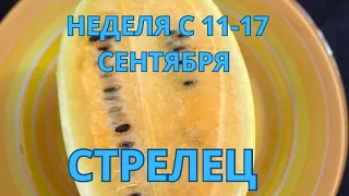 СТРЕЛЕЦ ♐️ ТАРОСКОП С 11-17 СЕНТЯБРЯ/ SEPTEMBER-2023 от Alisa Belial.