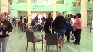 Therapy Dogs visit the Science Library - Fall 2017