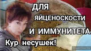 Куры несутся и зимой и летом/Два Незаменимых Средства для Яйценоскости и Иммунитета Кур Несушек