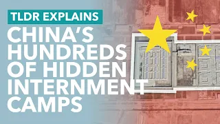 China's Hidden Concentration Camps: How China Imprisoned Millions of Uighurs - TLDR News