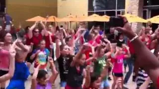 Flash Mob - Who Let The Dogs Out
