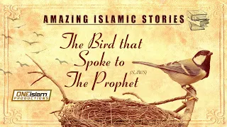 THE BIRD THAT SPOKE TO THE PROPHET (SAW) | TRUE STORY