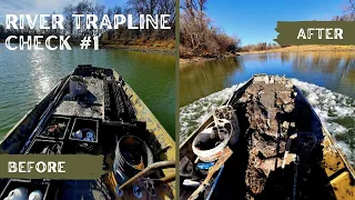 River Trapline┃A Boat Full of Coon and Beaver!