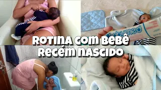 ROTINA COM UM BEBÊ RECÉM NASCIDO 👶🏻💙 *quebrei o resguardo cuidando do bebê e do lar*