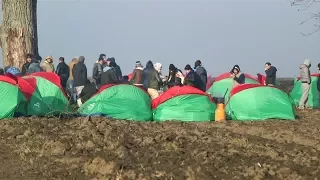 Protest im Niemandsland: Flüchtlinge errichten Zeltlager in Serbien | DER SPIEGEL