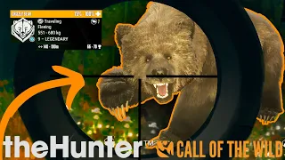 MUZZLELOADER is PERFECT for DIAMOND GRIZZLIES!!! - Call of the Wild