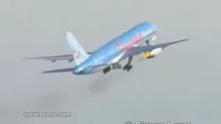 757 airplane bird strike (engine failure)