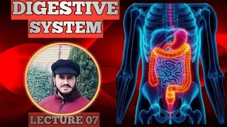 Digestive system