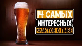 14 интересных фактов о пиве, заставляющих уважать напиток