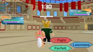 Battle Colosseum Glitches Out, What is This?