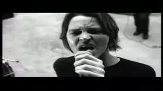 Powderfinger - Like A Dog (Official Music Video)