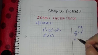 Primer Caso de Factoreo: Factor Comun