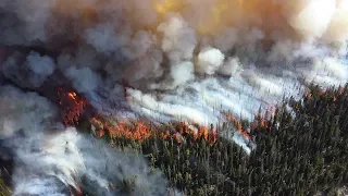 50 пожарных Югры помогут тушить сибирский лес