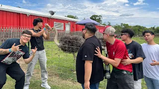 THE BOYS SPEND THE DAY AT THE BIGGEST ZOO IN TEXAS!