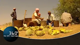 Die Frucht, die aus der Dürre kam