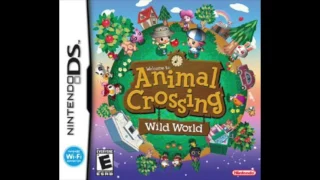 11pm - Animal Crossing Wild World