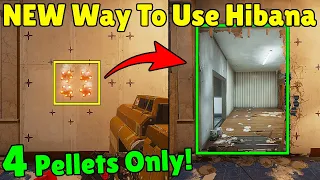 *NEW* Game Changing Hibana Trick | Open a FULL WALL With Only 4 Pellets! - Rainbow Six Siege