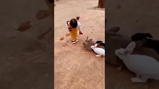 cute baby playing with cute rabbit 🤩 #shorts #cutebaby #smile #angel