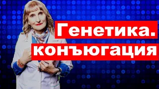 постулат #158 генетика конъюгация