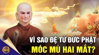 Cuộc Đời Truyền Kỳ Đặc Sắc Của Đệ Tử Đệ Nhất Trí Tuệ Của Đức Phật, Vì Sao Lại Móc Mù Hai Mắt?