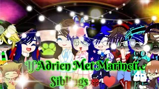 😺🖤If Adrien Met Marinette's Siblings 🐞♥️ || MLB || SIBLINGS AU || GACHA CLUB