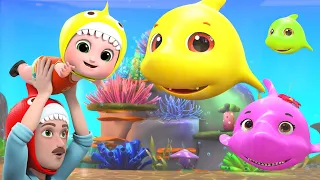 Baby Shark Dance Song - Classic Kids' Song with Animated Sharks By @happybobokids | Joy Joy