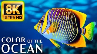 Colors Of The Ocean 8K Video ULTRA HD - The best sea animals for relaxing and soothing music #16