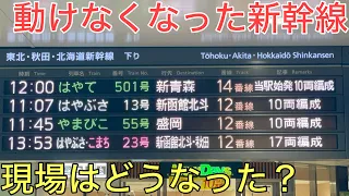 【速報】東北新幹線の仙台東京間が終日運転見合わせになりました。