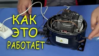 Compressor for the refrigerator. How it works