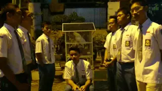 Burung Kakatua Acapella