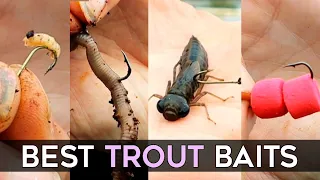 BEST BAITS for TROUT fishing & How to rig them for Success