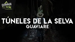 DESCUBIERTOS ENTRE LA SELVA (TÚNELES OCULTOS) || CaminanTr3s, El tercero eres tú!!