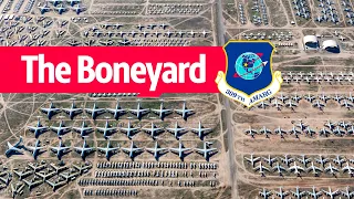 Stories From the Boneyard