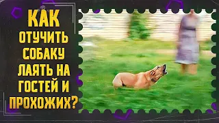 Как отучить собаку лаять на гостей и прохожих на улице (Эмма)