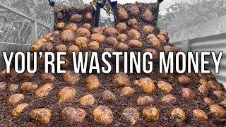 I'll Never Buy Potatoes Again  Here's Why!