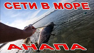 #АНАПА СЕТИ С ДОХЛОЙ РЫБОЙ В МОРЕ НА ПЛЯЖЕ! КУПАНИЕ В МОРЕ УТРОМ