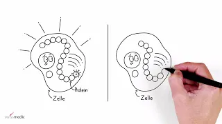 SO FUNKTIONIERT EIN mRNA-IMPFSTOFF. Ansätze gegen das Virus.