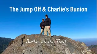 The Jump-Off & Charlie's Bunion Smoky Mountains
