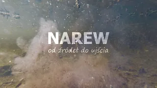 Narew  od źródeł do ujścia