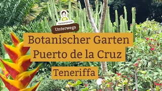 Beeindruckende Gewächse im botanischen Garten in Puerto de la Cruz auf Teneriffa