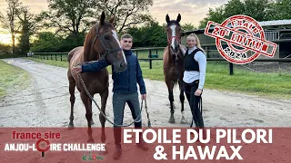 Céline Lequien porésente Étoile du Pilori & Hawax dans le France Sire Anjou Loire Challenge 2024
