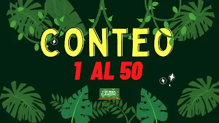 Aprende a Contar del 1 al 50 con Animales de la Selva